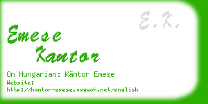 emese kantor business card